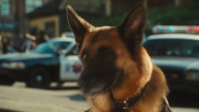 Кошки против собак. смотреть онлайн