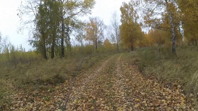 УЛЬТРАЛАЙТ в городской черте в октябре! Ловля на микроджиг с Arion 702ULS смотреть онлайн