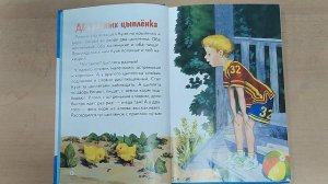 Чудеса в решете