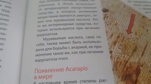 Болезни пчёл. Их проявление и методы лечения...Акарапидоз!