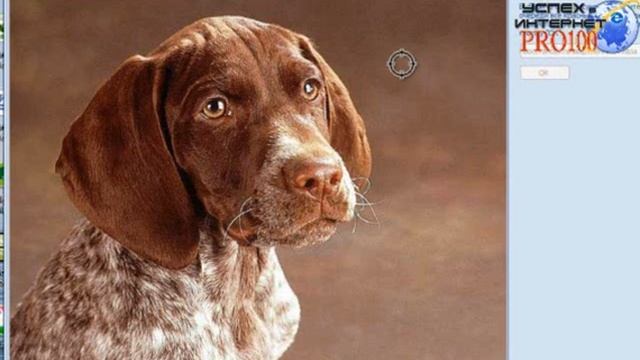 Обучающий урок по теме "Обработка изображений". Часть 2. смотреть онлайн