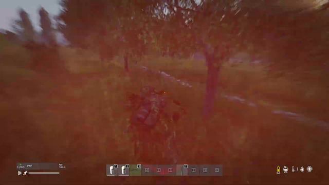 DayZ Стрим Raketa Mod