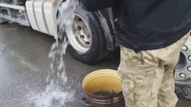 Доставка малька форели спецтранспортом смотреть онлайн