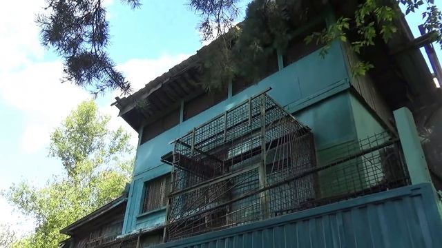 Как выздоравливаю от kovid-19? На строгом карантине - спасение: ностальгия по жизни до ковид смотреть онлайн