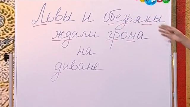 # 29 Служба спасения дом.задания (Миша, Влад), 17.01.2013 смотреть онлайн