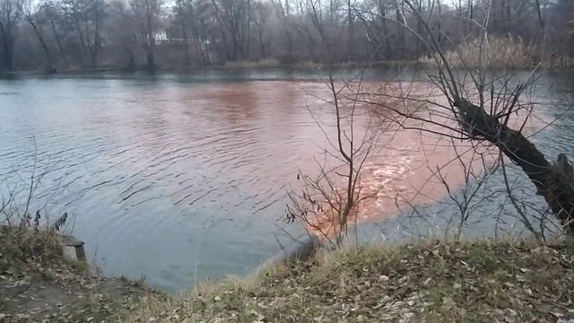 Сумы. Выбросы в р. Псел. 26.11.15 смотреть онлайн