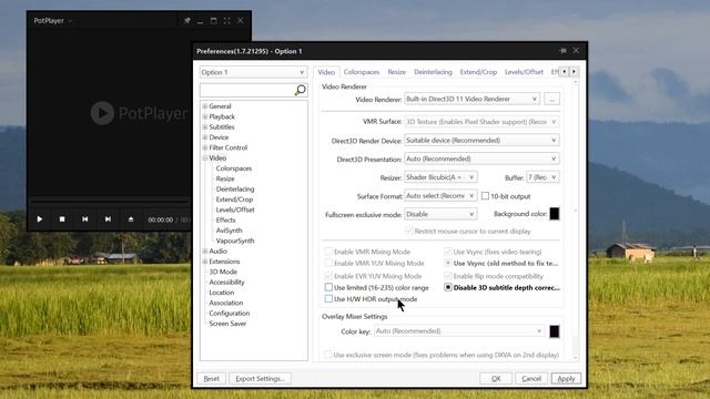 Potplayer 1.7.21 -  Recommended Settings