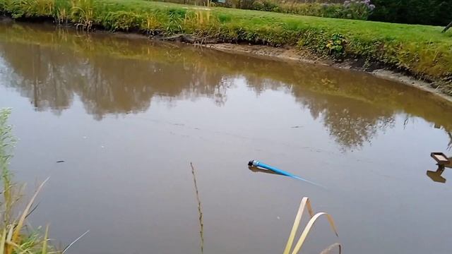 Вода из пруда. Использую для технических целей. Как сделать своими руками.#вода #пруд#скважина смотреть онлайн