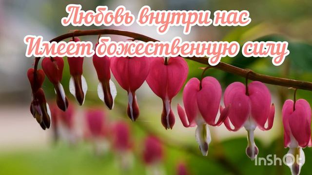 Просто о Любви | Безусловная любовь | Семена 💗 смотреть онлайн