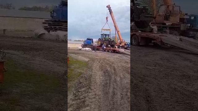 1000234558.mp4 смотреть онлайн