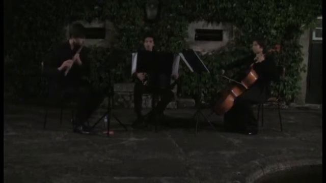 All Libitum Trio | In Extremis - 1st mov. Con movimento | Paulo Jorge Ferreira смотреть онлайн