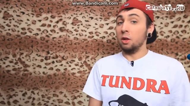 +100500 глупый кот боится фольги смотреть онлайн