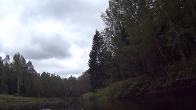 По течению Оредежа от Введенского до Борисово смотреть онлайн