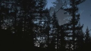 Добываем лося и изюбря за один заезд! Осенняя охота в тайге.