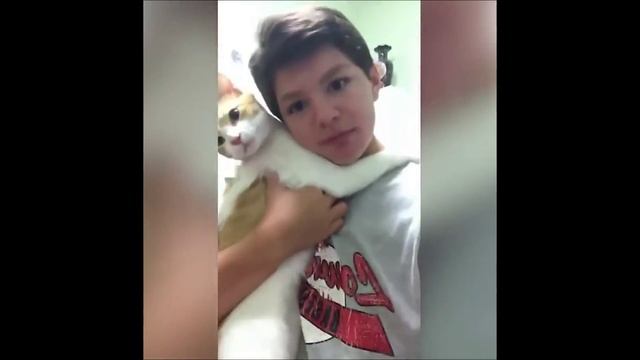 Смешные животные. Приколы с животными. Смешные коты. Смешные собаки. Лучшее 2022 смотреть онлайн