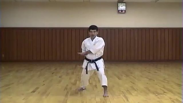 KATA + BUNKAI HEIAN GODAN