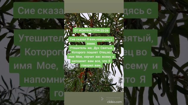 Дух Святый,Которого пошлет Отец во имя Мое научит вас всему и напомнит вам все, смотреть онлайн