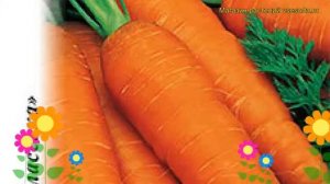 Морковь Роте ризен (Морковь). Краткий обзор, описание характеристик, где купить семена daucus carot