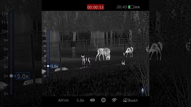 Тепловизионный прицел IRay Rico 2 RH50R LRF