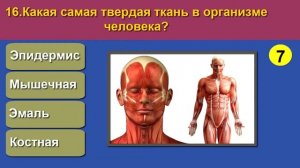 ТЕСТ ПО БИОЛОГИИ #115 Насколько хорошо вы знаете Биологию