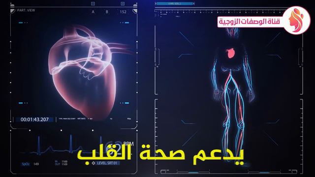 تناول الموز كل ليلة سيجعلك كالحصان حتى لو تجاوز عمرك 70 عامًا .. استعد شبابك - فوائد الموز смотреть онлайн