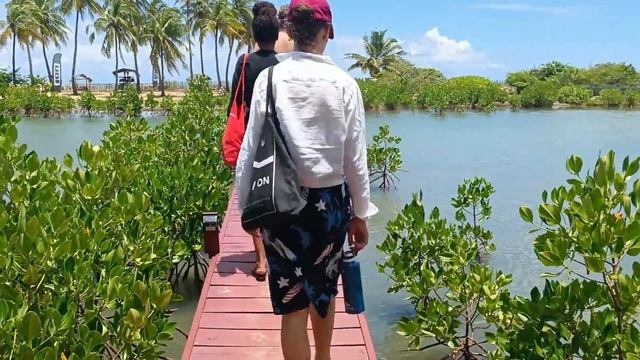 KALPITIYA SRI LANKA #srilanka #travel #ceylon #kalpitiya смотреть онлайн