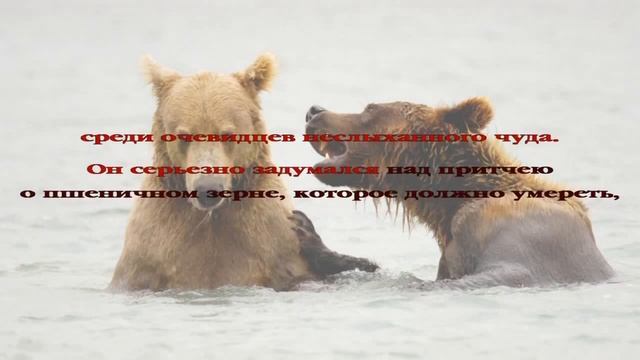 Аудиокнига Рассказ бывшего каторжника Часть 4 христианские рассказы смотреть онлайн