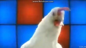 Курица танцуй Оп давай давай двигай телом отдыхай