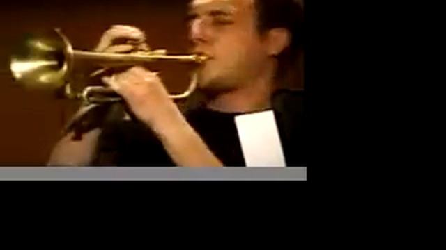 Latin Fire- Salsation смотреть онлайн