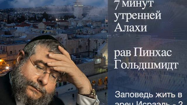 7 минут утренней Алахи от рава Пинхаса Гольдшмидта смотреть онлайн