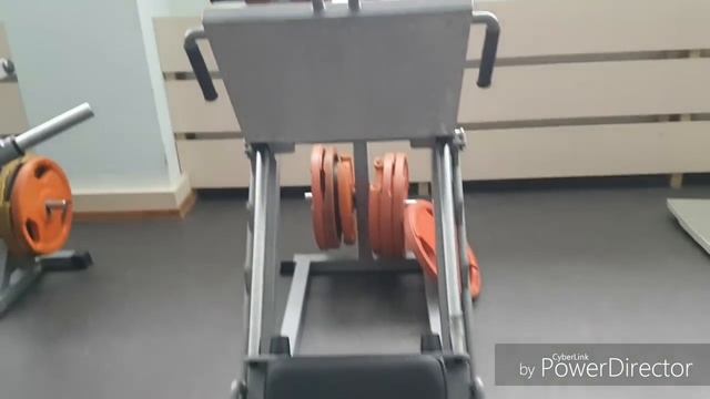 Тренажерные залы олимпийской базы "Конча-Заспа" смотреть онлайн