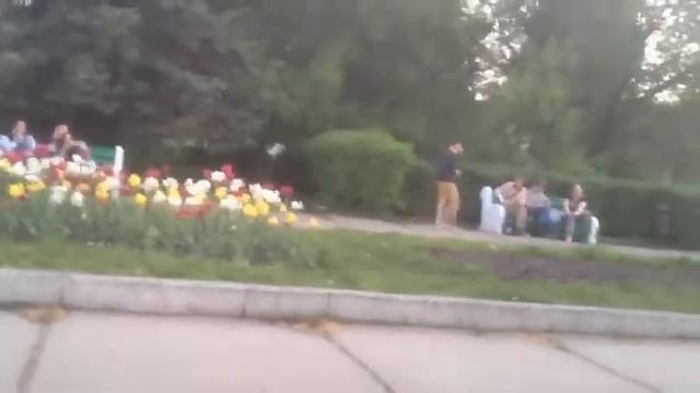 Мама ама криминал (Приколы) смотреть онлайн