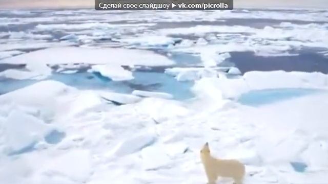Песня о большой медведице смотреть онлайн