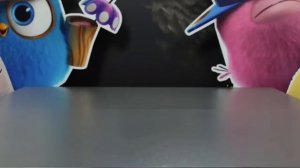 Angry Birds  Hatchlings K-pop 10minutes