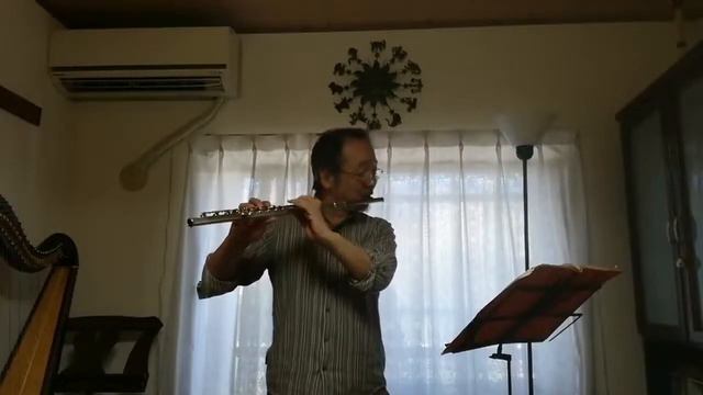 No.075 G.Ph.Telemann / 12 Fantasias for Flute Solo No.8 e-moll テレマン作曲 無伴奏フルートのための幻想曲第8番ホ短調 смотреть онлайн
