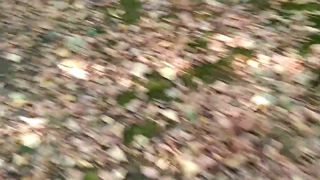 Люберцы Погребы, ямы во дворе дома, для хранения картошки смотреть онлайн