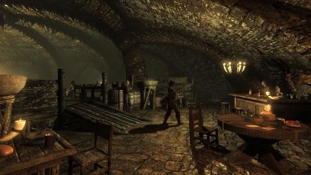 Why I love Skyrim ft. @youngscrolls @ImperialKnowledge @DoubleNegative @infinitybreak4459 and More! смотреть онлайн