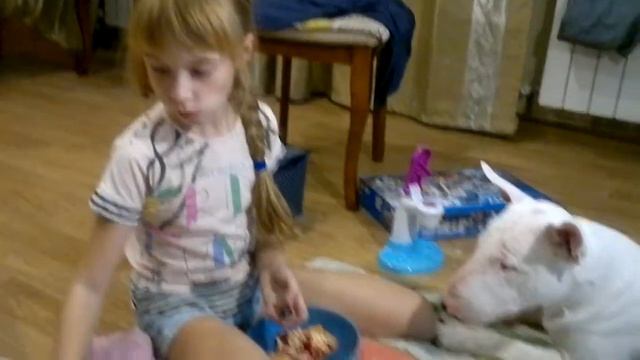 Бультерьер Марик смотреть онлайн