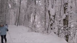 Снег кружится поет Анатолий Шуклин.mp4