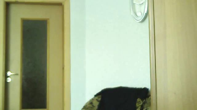 Видео с веб-камеры. Дата: 5 июля 2013 г., 9:26. смотреть онлайн