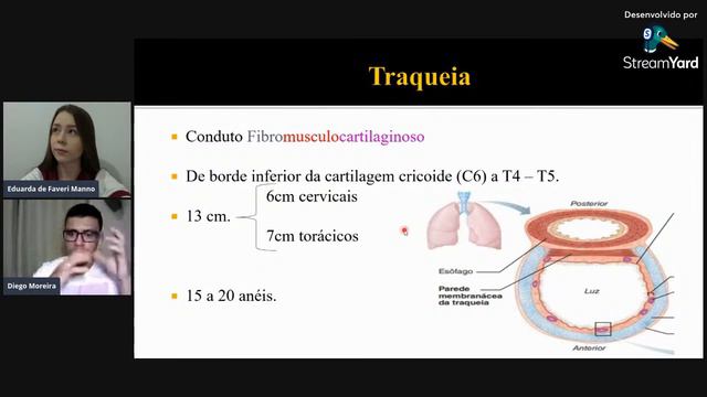 SISTEMA RESPIRATORIO - Anatomía : Diego Moreira Histologia: Eduarda F. Manno смотреть онлайн