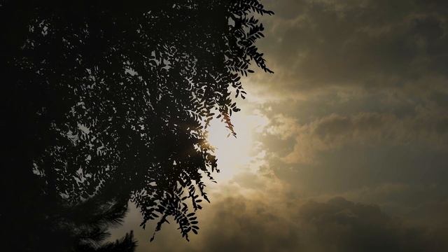 Музыка для учебы, работы, релаксации и концентрации №9 смотреть онлайн