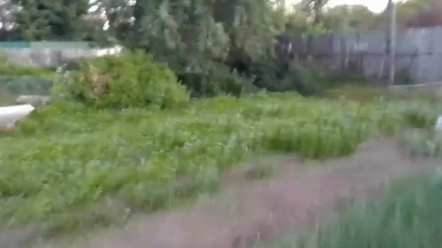Огород зарос!((( Полим в жару, делать нечего. смотреть онлайн