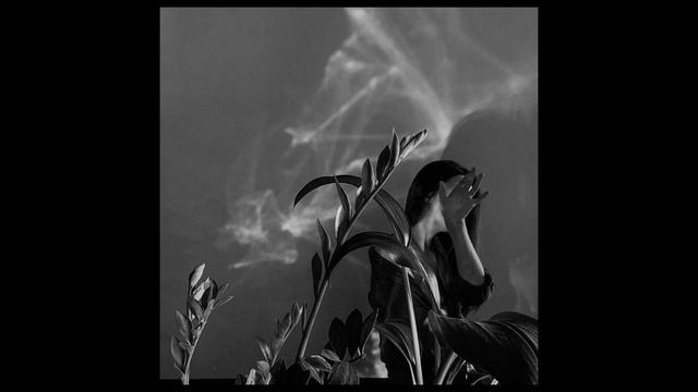 passmurny & RYABINA - Дай мне забыть (slowed + reverb) смотреть онлайн