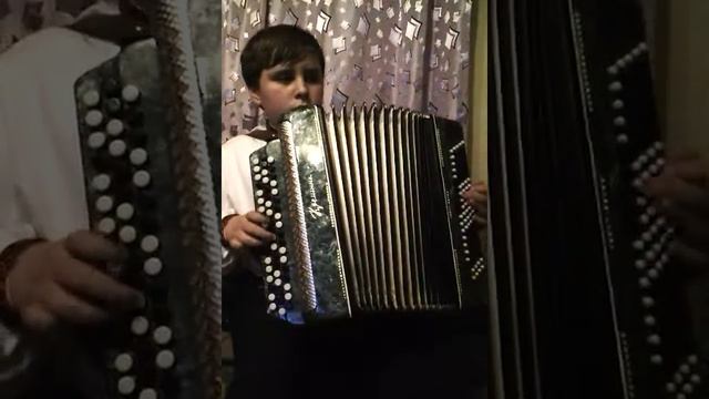 Ніч яка місячна на баяні