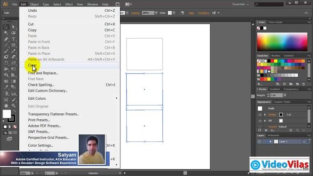 Adobe Illustrator CS6 for Beginners (Telugu) - 06 - SELECTIONS (Part 01) смотреть онлайн
