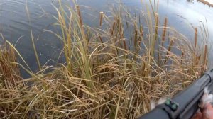 Оно не для охоты или охота с Сайга 12с в Омской области. Октябрь 2021