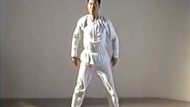 Тайцзицюань (Meditation Step 1 - Basic Movements) смотреть онлайн