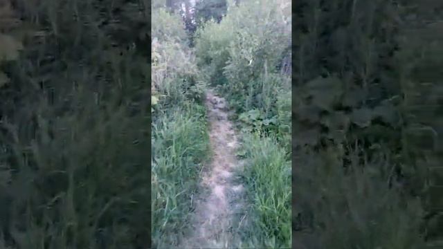 Котлин psy смотреть онлайн