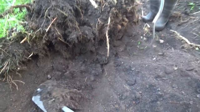 Дед показал где кузница . И мы её копали три дня . смотреть онлайн